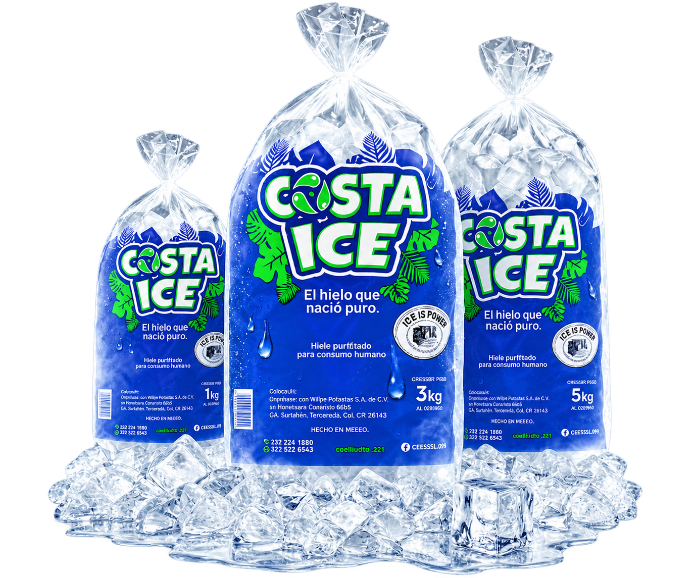 Bolsas de hielo rolito Costa Ice